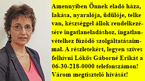 Lőkös Gáborné (Erika) Ingatlanpiaci elemző és értékesítési szakértő, telefon 06-30-218-0000